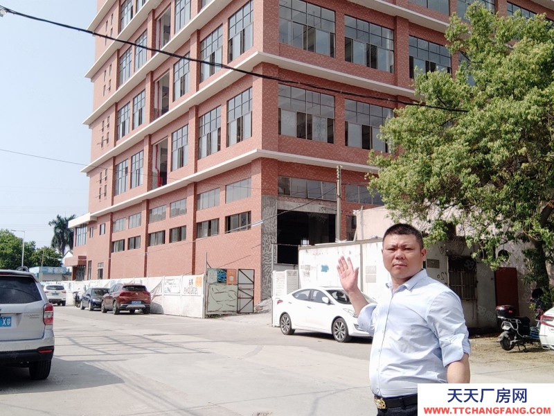 (出租) 中山市阜沙鎮獨院獨棟8層樓24000平方廠房出租