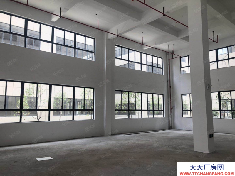 寧波寧海(出租) 寧海小微工業園區 橋頭胡附近工業廠房大平層，可分割