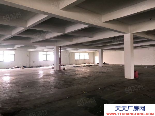 無錫錫山區東港 獨門獨院標準廠房4000，層高5米帶辦公室宿舍以及食堂