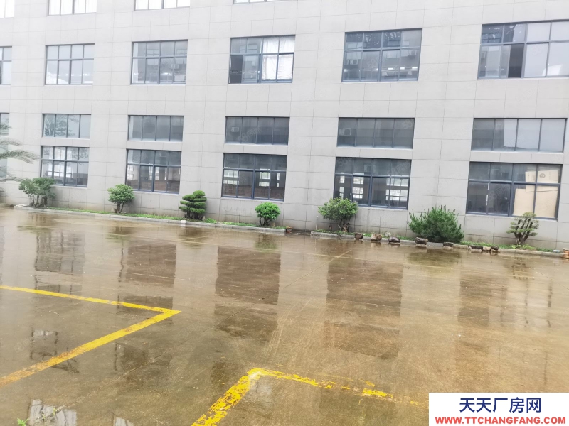寧波寧海(出租) 寧海9000平方單一層廠房出租可分租