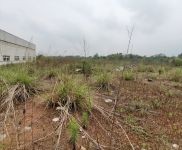 (出租) 眉山仁壽廠房倉庫空地個人直租帶辦公室宿舍