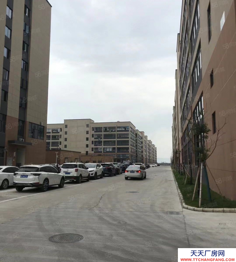 寧波寧海(出售) 全新標(biāo)準(zhǔn)廠房,支持按揭