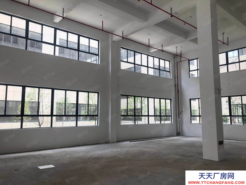 寧波寧海(出售) 寧海小微工業園標準廠房可按揭 50年產權均價2400元一平方