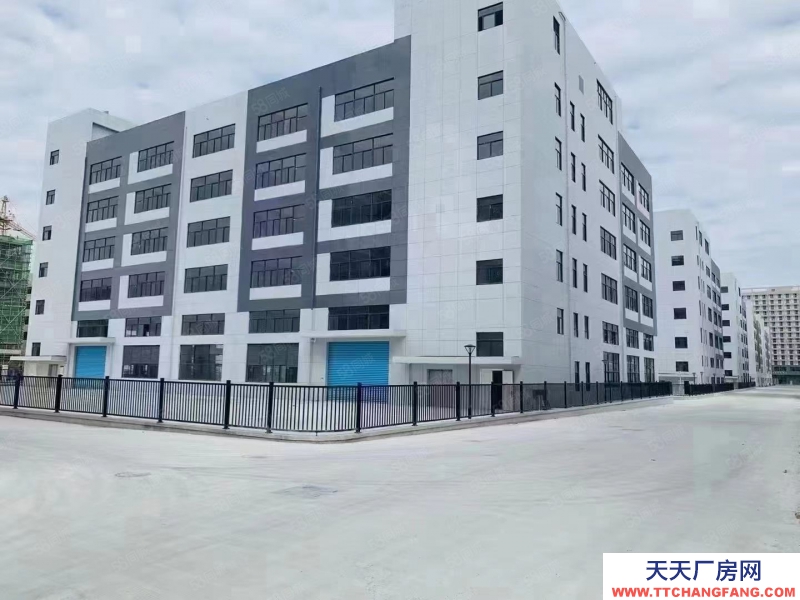 寧波寧海(出售) 出售寧波濱海新區 五層標準廠房首付3成可按揭產證齊全