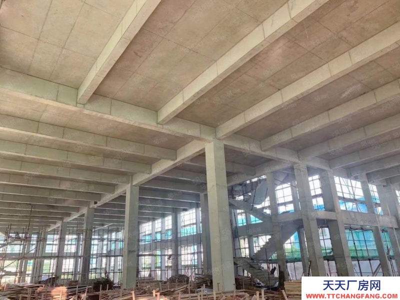 (出售) 中山石岐臨近中山紅本廠房?jī)r(jià)格便宜,50年產(chǎn)權(quán)!證件齊全