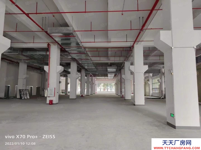 (出售) 中山坦洲工業紅本廠房出售250000方 500起售 0稅收