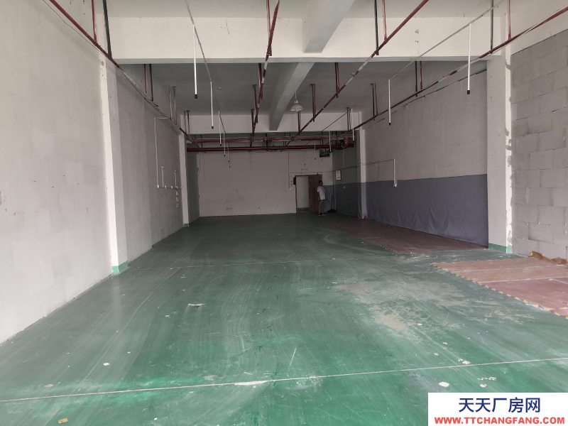 服裝廠房出租童裝行業湖州織里650平米配套好有宿舍食堂超市