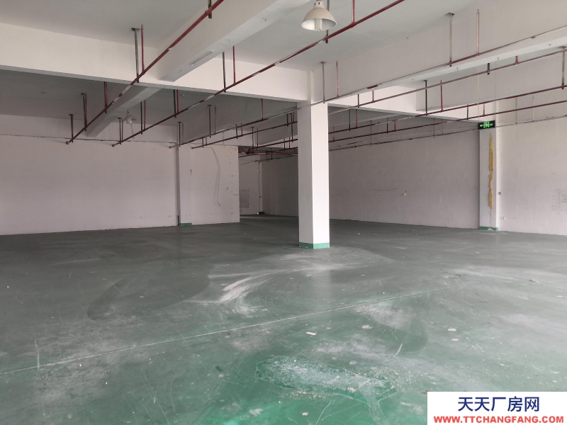 服裝廠房出租童裝行業湖州織里650平米配套好有宿舍食堂超市