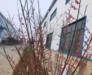 (出租) 荊門東寶大型鋼構(gòu)廠房出租2500平米，長(zhǎng)崗一路。 ?