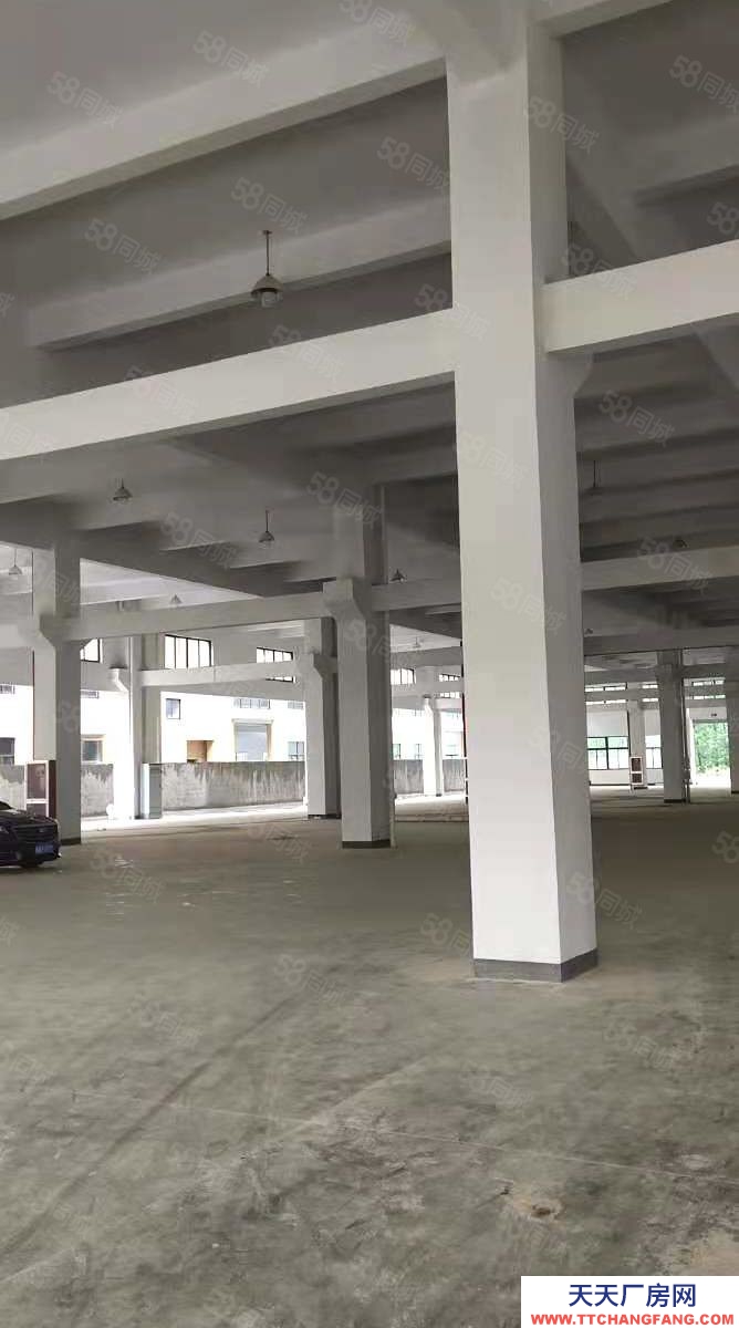 寧波余姚(出售) 上虞五夫6畝廠房3000平租金50多萬售價(jià)1200萬獨(dú)院