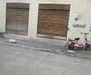 (出租) 荊門掇刀白石坡倉庫出租，安全交通便利