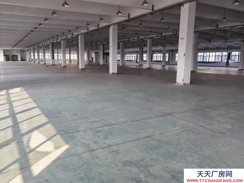 寧波慈溪(出售) 龍山17畝6000平方8米單層4200萬