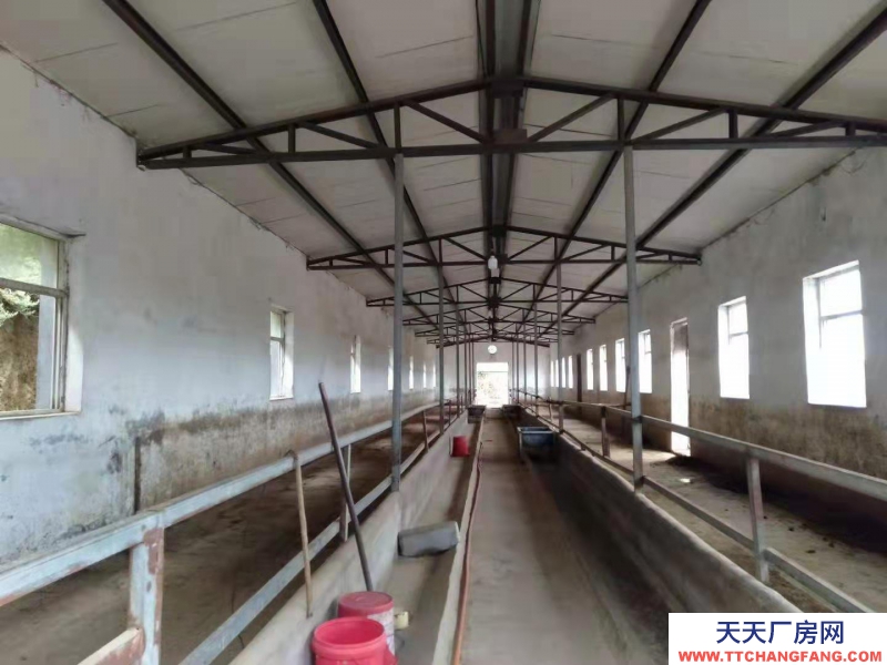 (出租) 出租平定平陽路（岔口鄉北頭嶺村大型養殖場）