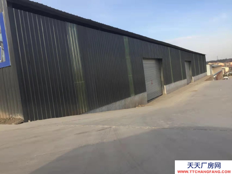 (出租) 鋼結構廠庫房出租 交通方便