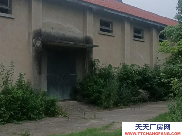 (出租) 荊門鐘祥共有八幢，每幢五百平方，獨門進出