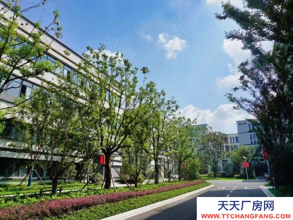 常州金壇新建廠房800平~8000平 面積多選 交通便利