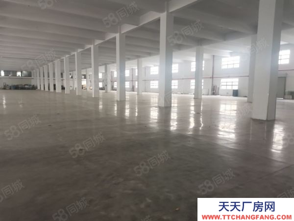 常州) 金壇區經濟開發區靠近金武快速路5000方單層廠房出租