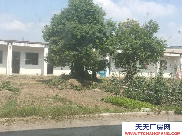 常州金壇原房東,獨門獨院,3300平,單層火車頭廠房,120元