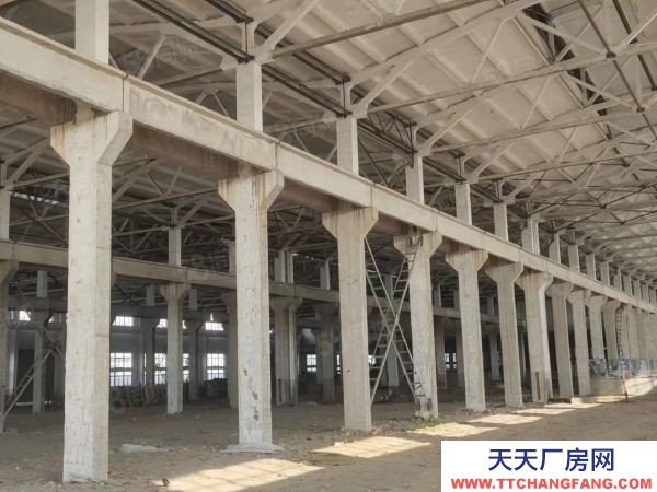 常州溧陽純單層!帶行車!天然氣!蒸汽!可做熔鋁,壓鑄,噴涂等行業