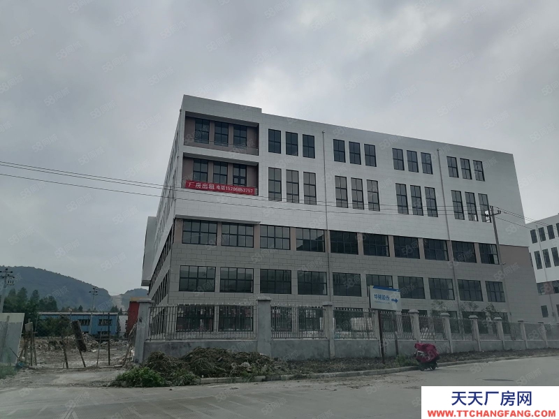 寧波奉化(出售) 奉化四明路標(biāo)準(zhǔn)獨棟廠房出售，6000平米，3000萬一棟。