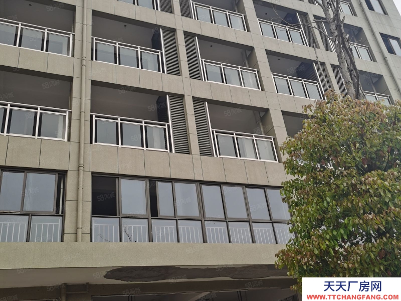 溫州鹿城(出租) 鞋都三期1000平方空廠房出租