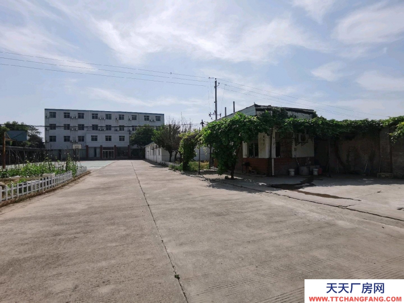 (出租) 渭南蒲城企業(yè)用地，自建辦公大樓，16米寬36米長高4層