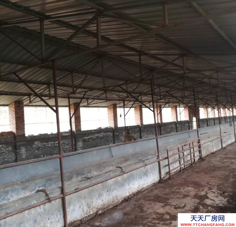 (出租) 渭南澄城四個棚舍，長80寬12，通水通電，其中一個有監(jiān)控。