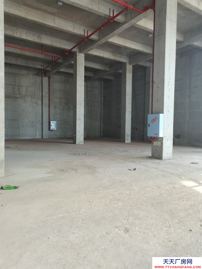 蔡家現(xiàn)房標(biāo)準(zhǔn)廠房/輕軌近公交旁物流園旁/買來即可用