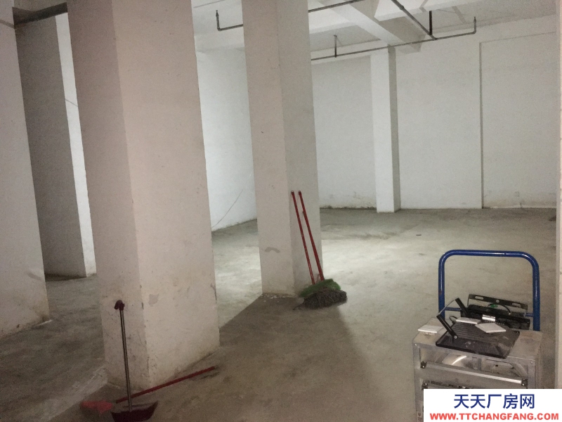 出租高新區天府大道四河地鐵旁倉庫