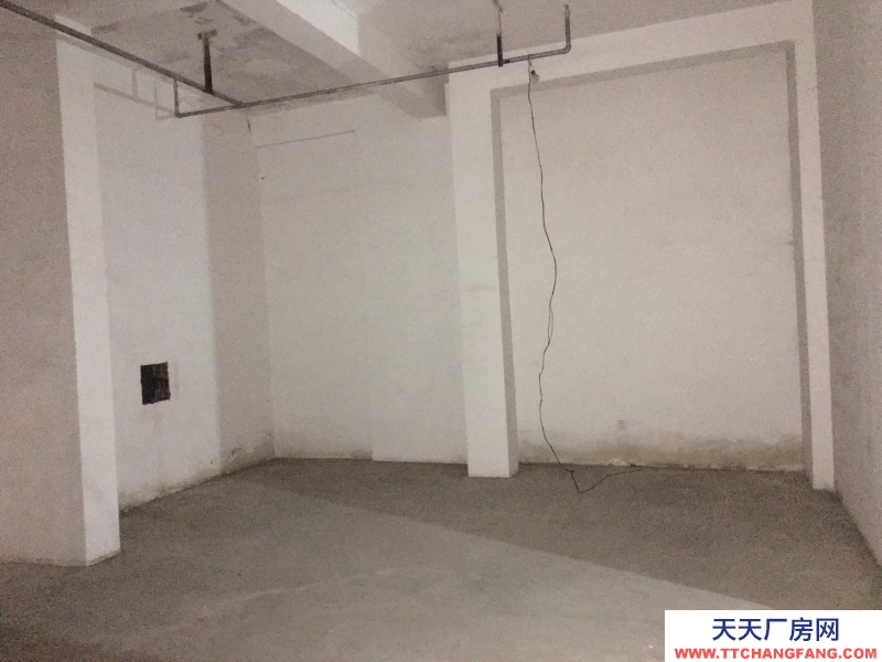 出租高新區天府大道四河地鐵旁倉庫