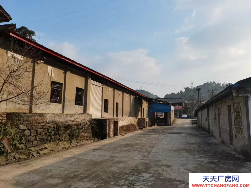 三臺縣馬躍巖廠房庫房出售出租