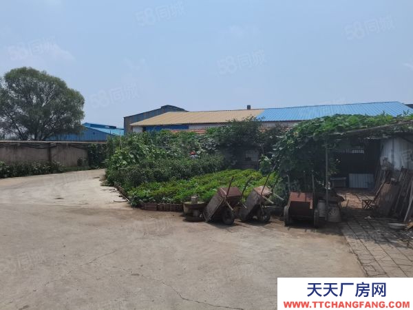 臨沂羅莊區(qū)付莊鎮(zhèn)帶院廠房出租