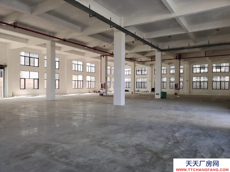溫州鹿城(出售) 藤橋25000平米,廠房新,適合各行各業(yè)