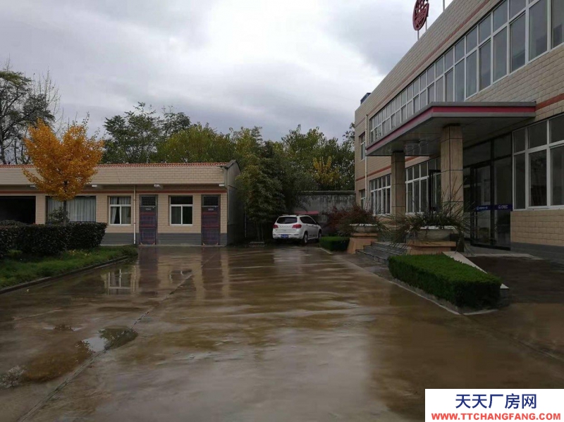 (出租) 寶雞鳳翔大面積辦公廠房出租