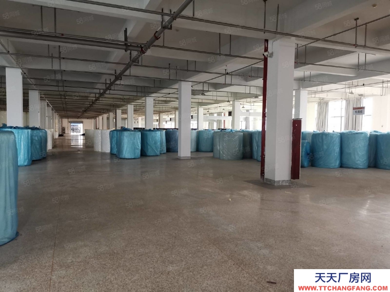 溫州龍灣(出租) 低價急租濱海海工大道，一樓900平，34元含稅價