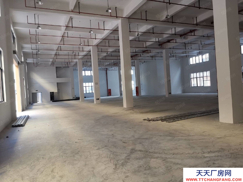 溫州龍灣(出租) 低價急租濱海海工大道，一樓900平，34元含稅價