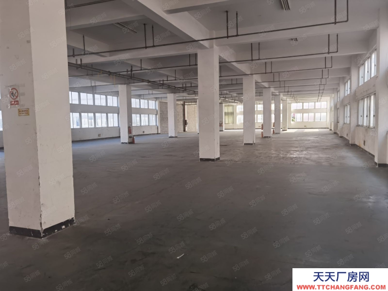 溫州龍灣(出租) 濱海三路標準廠房出租樓上1300平高度4.8米價院大好停車