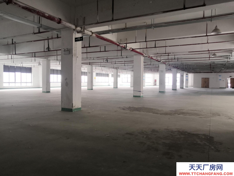 童裝廠房3500平方出租生產加工服裝行業湖州織里