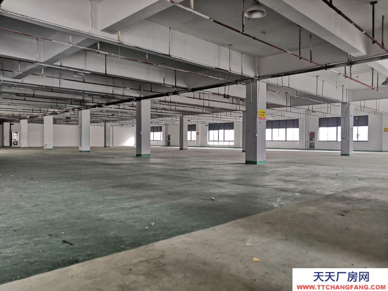 童裝廠房3500平方出租生產加工服裝行業湖州織里