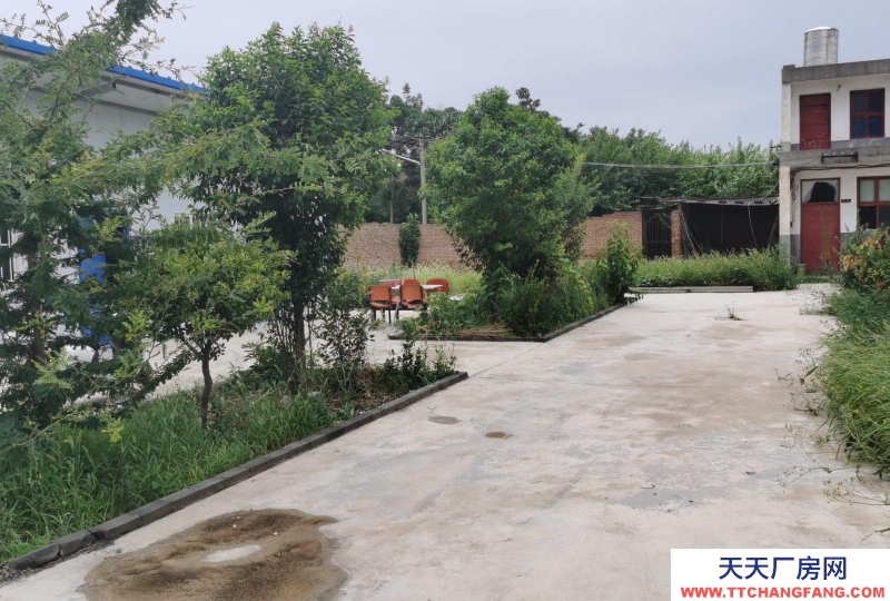 (出租) 寶雞扶風便宜出租，也可轉讓，政府批準的建設用地