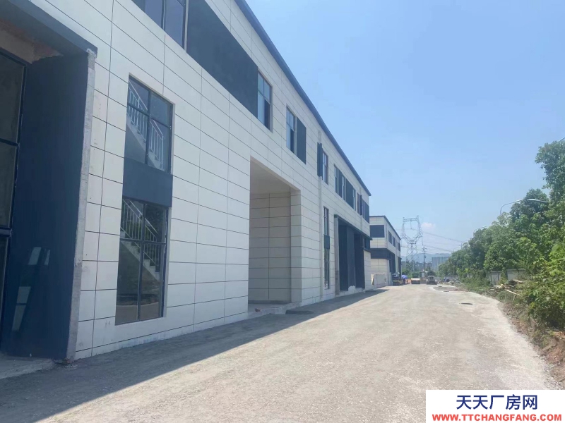 蔡家現房標準廠房/輕軌近公交旁物流園旁/買來即可用