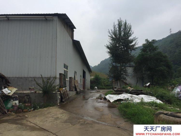 (出售)寶雞渭濱 峪泉村獨院廠房和地皮 轉(zhuǎn)讓