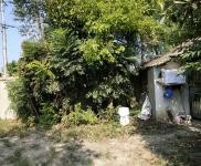 (出售) 仙桃誠心折價(jià)出售養(yǎng)殖場房， 省道直達(dá) ！電力專線！