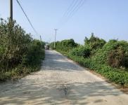 (出售) 仙桃誠心折價(jià)出售養(yǎng)殖場房， 省道直達(dá) ！電力專線！