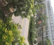 (出售) 仙桃出租出售三伏潭獨立廠房二證齊全,自有土地