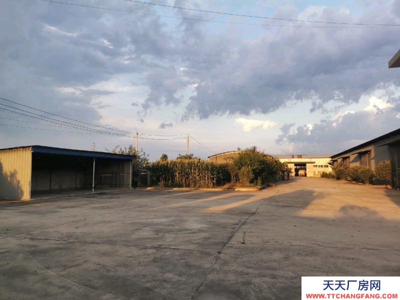 (出租) 漢中城固辦公樓，廠房，倉庫，公司工業用地。