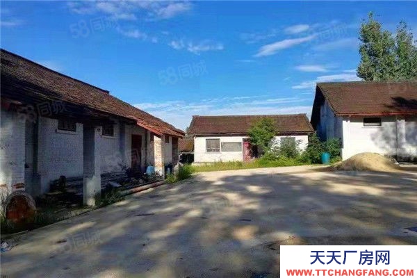 (出租) 漢中城固縣十天高速鹽井出口7畝場地出租,可出售