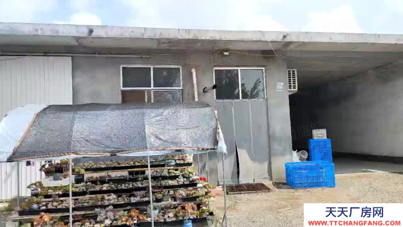 臨沂河東九曲斜坊二畝獨院框架廠房,建設用地,水電路好