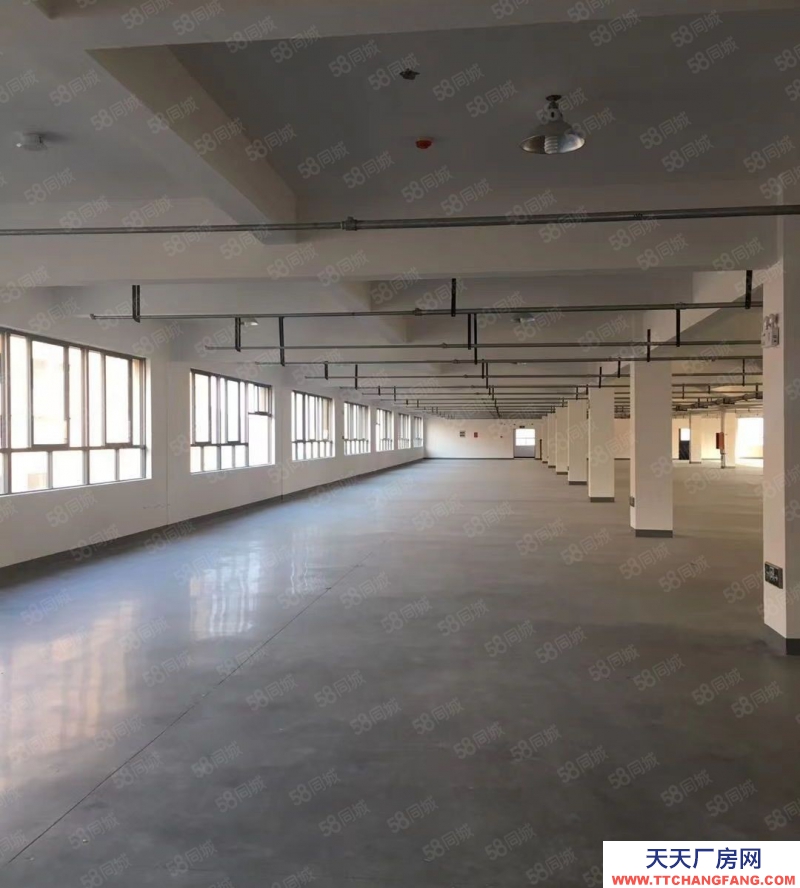 溫州甌海(出租) 巨溪工業區 標準廠房 中心位置 可分租可整租