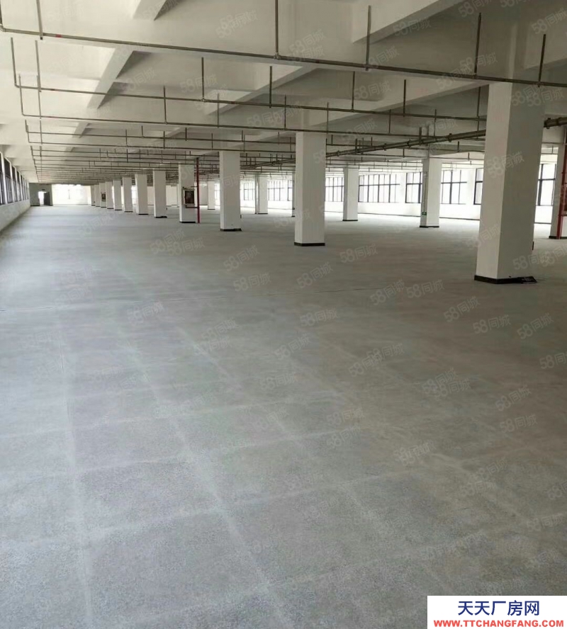 溫州甌海(出租) 巨溪工業區 標準廠房 中心位置 可分租可整租